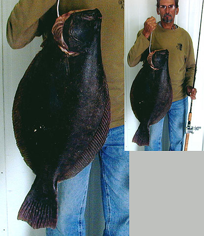 Paralichthys brasiliensis