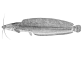 Clthe_u1.gif