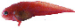 Aljor_u0.jpg