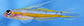 Annik_m0.jpg