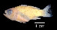 Apqua_u4.jpg