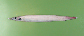 Arris_u1.jpg