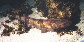 Hapic_u0.jpg