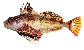 Hepap_m0.jpg