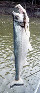 Hysco_u0.jpg