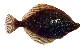Lipro_u0.jpg