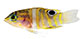 Lireg_u0.jpg
