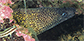 Muret_u6.jpg
