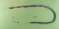 Nesco_u0.jpg