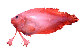 Pabec_u0.jpg