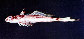 Sydel_u0.jpg